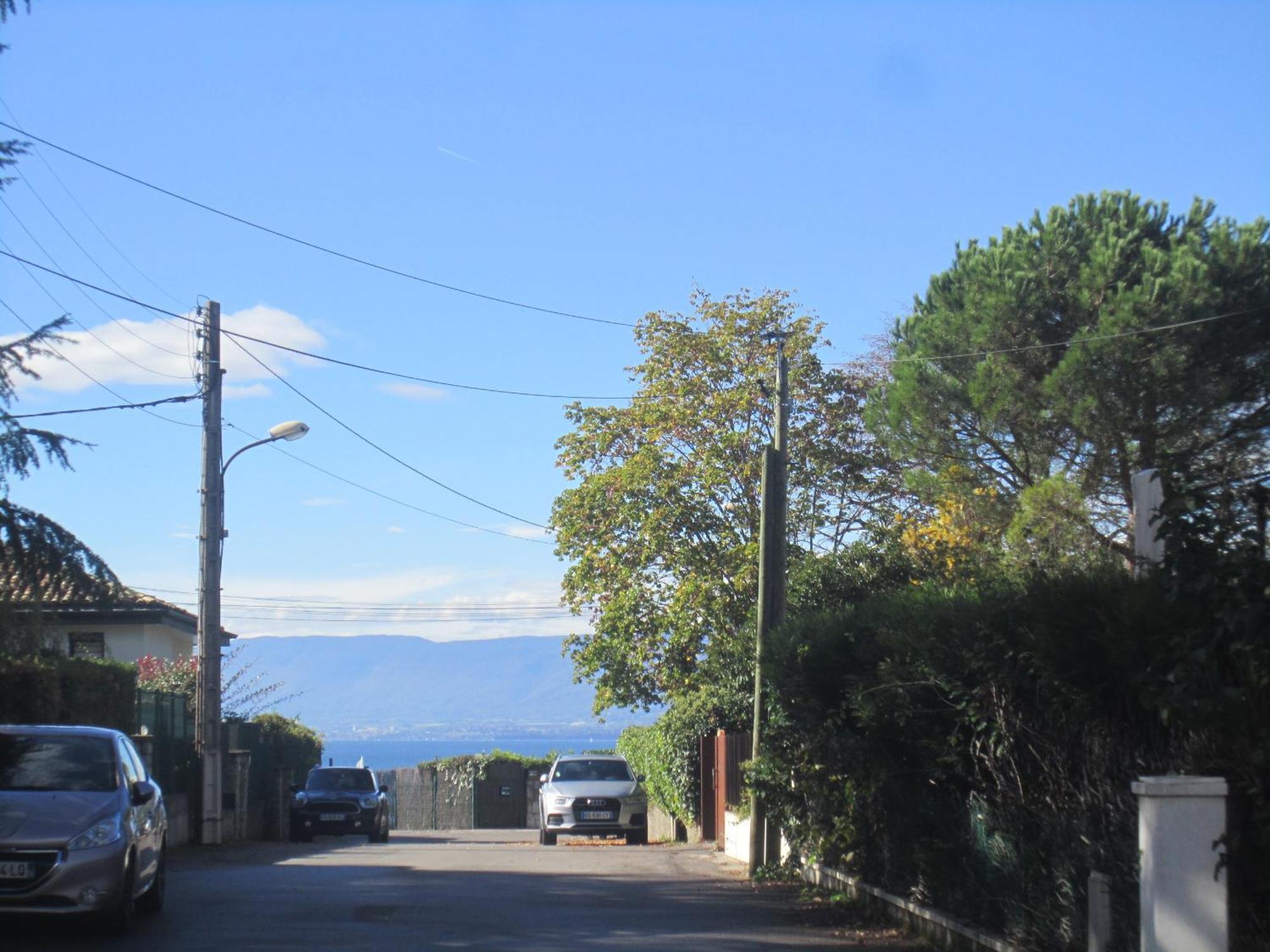 Villa La Moraine Thonon-les-Bains Buitenkant foto