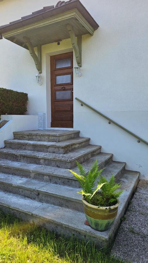Villa La Moraine Thonon-les-Bains Buitenkant foto