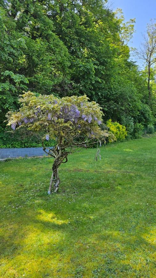 Villa La Moraine Thonon-les-Bains Buitenkant foto