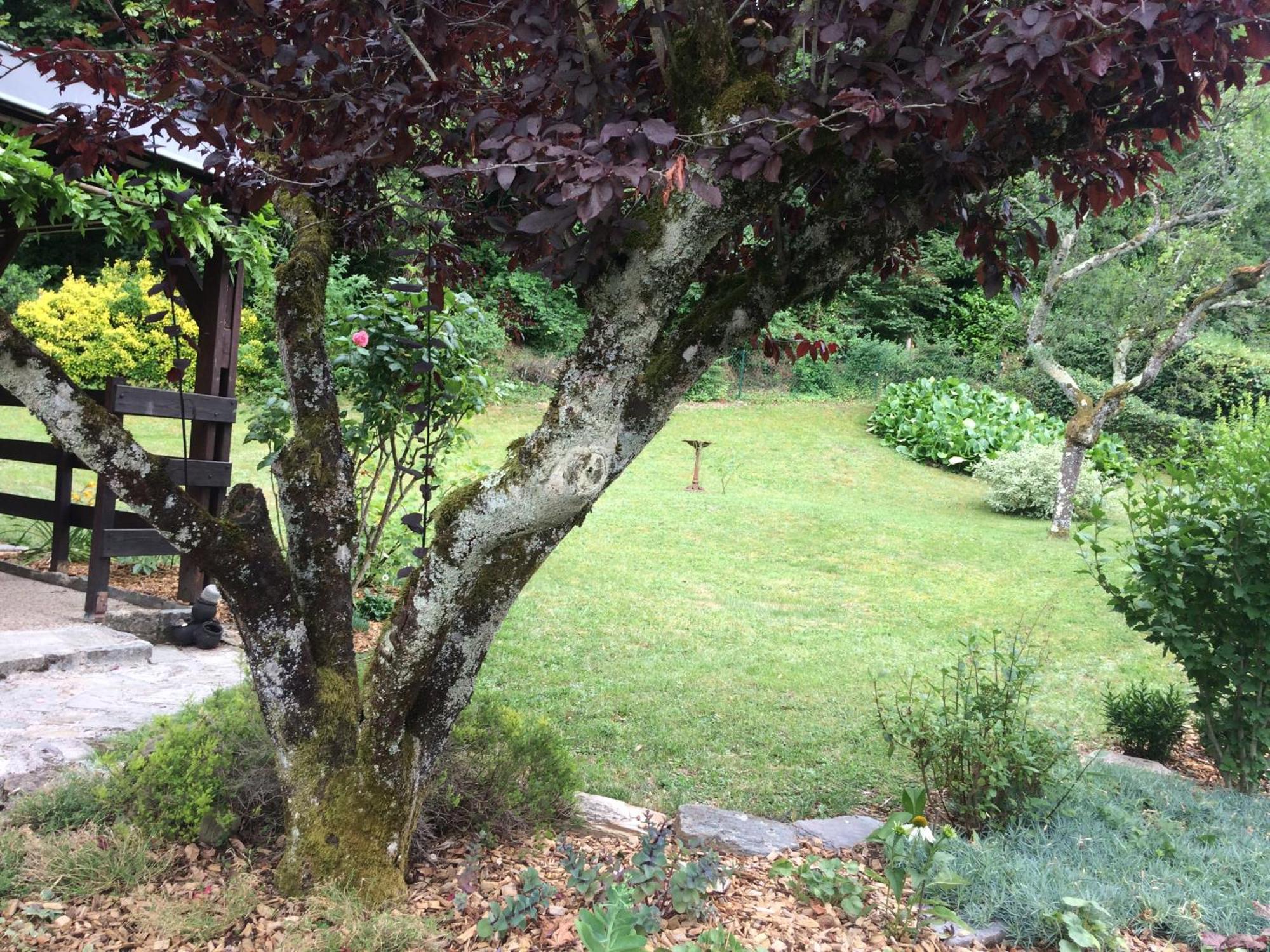 Villa La Moraine Thonon-les-Bains Buitenkant foto